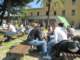 opendayssavona201151_small.jpg